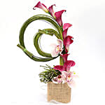 Aesthetic Calla Lilies and Cymbidium Arrangement