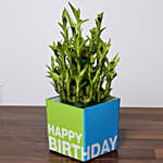 3 Layer Bamboo Plant and Patchi Chocolates For Birthday