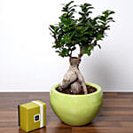 Bonsai Plant In Green Pot and Patchi Chocolates