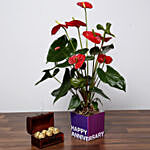 Red Anthurium Plant and Chocolates For Birthday