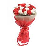 Red And White Carnations