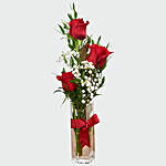 Red Roses Vase Arrangement and Dry Fruits Combo