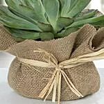 Green Echeveria Jute Wrapped Plant