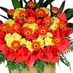 Orange Gerberas Opening Stand