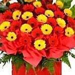 Red and Yellow Gerberas Stand