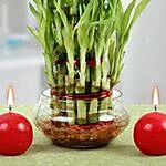 Three Layer Lucky Bamboo Plant N Candles
