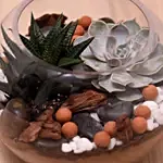 Decorative Succulents In Fish Bowl