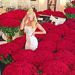 Extravagance Of Red Roses