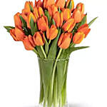 Orange Tulip Collection