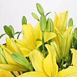 Yellow Asiatic Lilies Bouquet In Yellow Paper