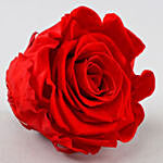 Eternal Red Forever Rose With Ferrero Rocher