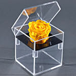 Forever Rose In Acrylic Box