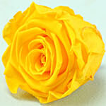 Lovely Yellow Forever Rose With Rocher