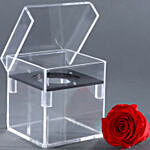 Magnificent Red Forever Rose In Acrylic Box