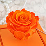 Orange Forever Rose In Orange Box