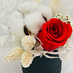 Preserved Red Rose Box