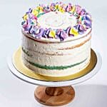 Rainbow Vanilla Bean Cake 5 inches