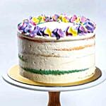 Rainbow Vanilla Bean Cake 5 inches