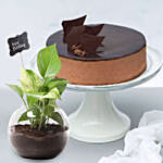 Birthday Money Plant & Chocolate Cake