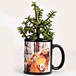 Jade Plant In Personalised Black Mug