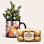 Jade Plant Personalised Black Mug & Chocolates