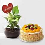 Love You Money Plant & Fruit Cake