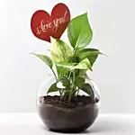 Love You Tag Money Plant