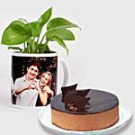 Picture Mug Money Plant & Chocolate Cake