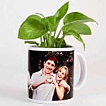 Picture Mug Money Plant & Chocolate Cake