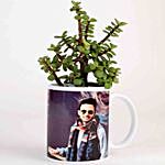 Picture White Mug Jade Plant