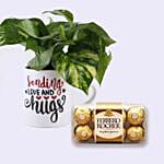 Sending Love Money Plant Mug & Ferrero Rocher