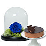 Chocolate Cake & Forever Rose In Glass Dome- Blue
