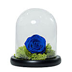 Chocolate Cake & Forever Rose In Glass Dome- Blue