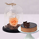 Chocolate Cake & Forever Rose In Glass Dome- Peach