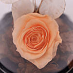Ferrero Rocher & Forever Rose In Glass Dome- Peach