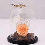Forever Rose In Glass Dome- Peach