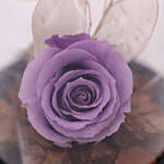 Forever Rose In Glass Dome- Purple