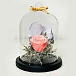 Beautiful Forever Rose In Glass Dome- Pink