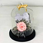 Beautiful Forever Rose In Glass Dome- Pink