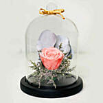 Forever Rose In Glass Dome Pink with Ferrero Rocher