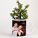 Jade Plant In Personalised White Mug