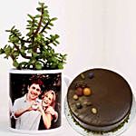 Jade Plant In White Personalised Mug With Chocolate Cake
