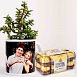 Jade Plant In White Personalised Mug With Ferrero Rocher