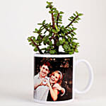 Jade Plant In White Personalised Mug With Ferrero Rocher