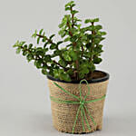 Jade Plant Personalised Black Bday Mug With Fruit Cake