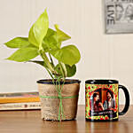 Money Plant with Personalised Black Mug