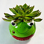 Echeveria Plant With Green Ceramic Pot