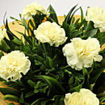 8 Yellow Carnations Bouquet Small