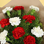 10 Romantic Red White Carnations