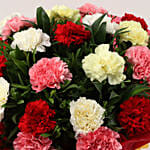 25 Mixed Carnations Bouquet Large